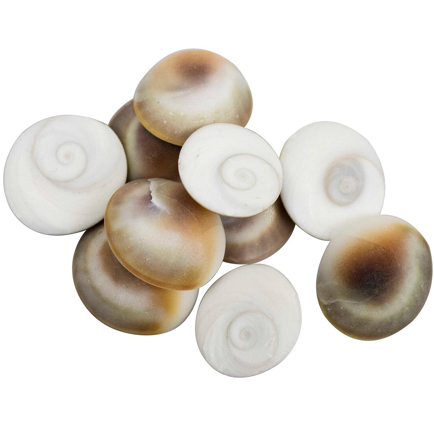 

@ Gomathi Chakra River Stone For Lakshmi Pooja 11 Pcs Zr-1598-60%Off