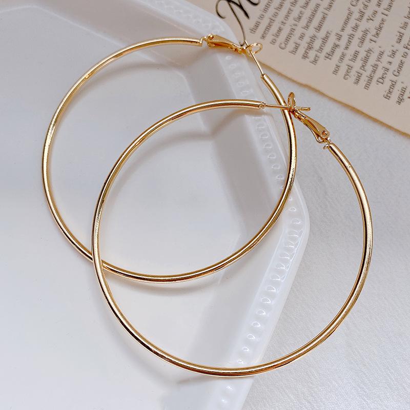 Exaggerated Hoop Earrings - European & American Cold Style, 925 Silver Needle, All-Match Metal Ear Jewelry for Women