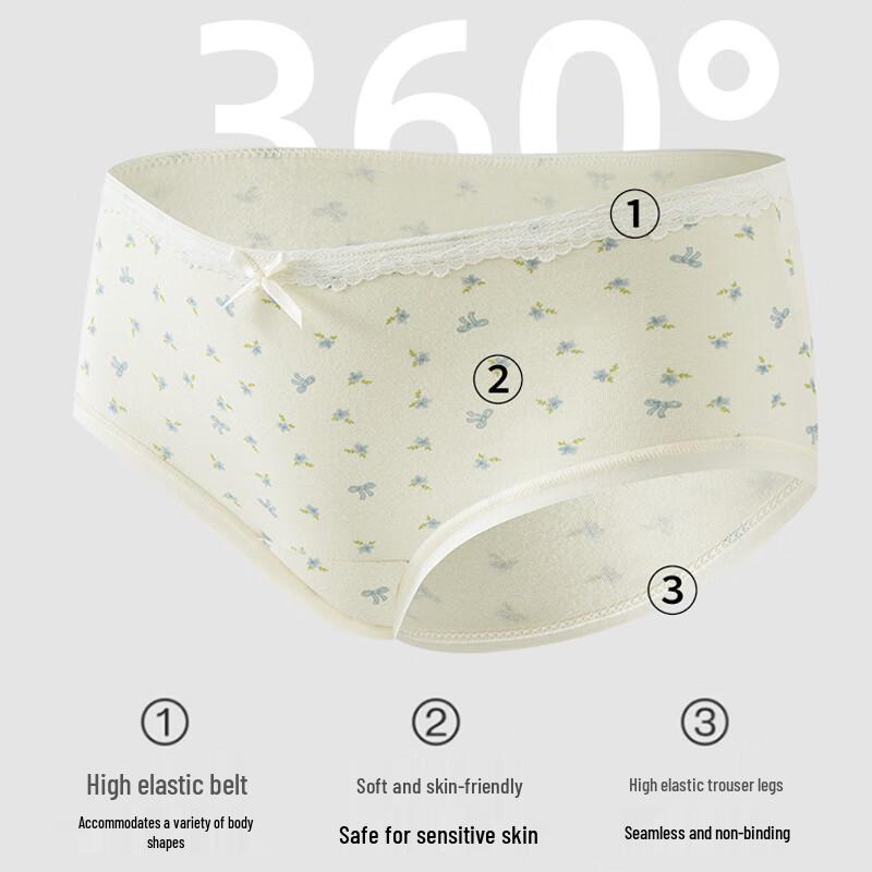 Regina Miracle Women's Class A Cotton Antibacterial Mid-Waist Briefs 4-Pack