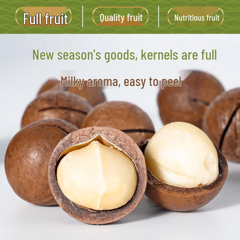 Extra-Large Thin-Shell Creamy Macadamia Nuts, 500g Jar