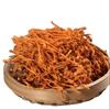 Organiczny Grzyb Maczułek Chiński 80g Naturalna Energia Herbata Ziołowa