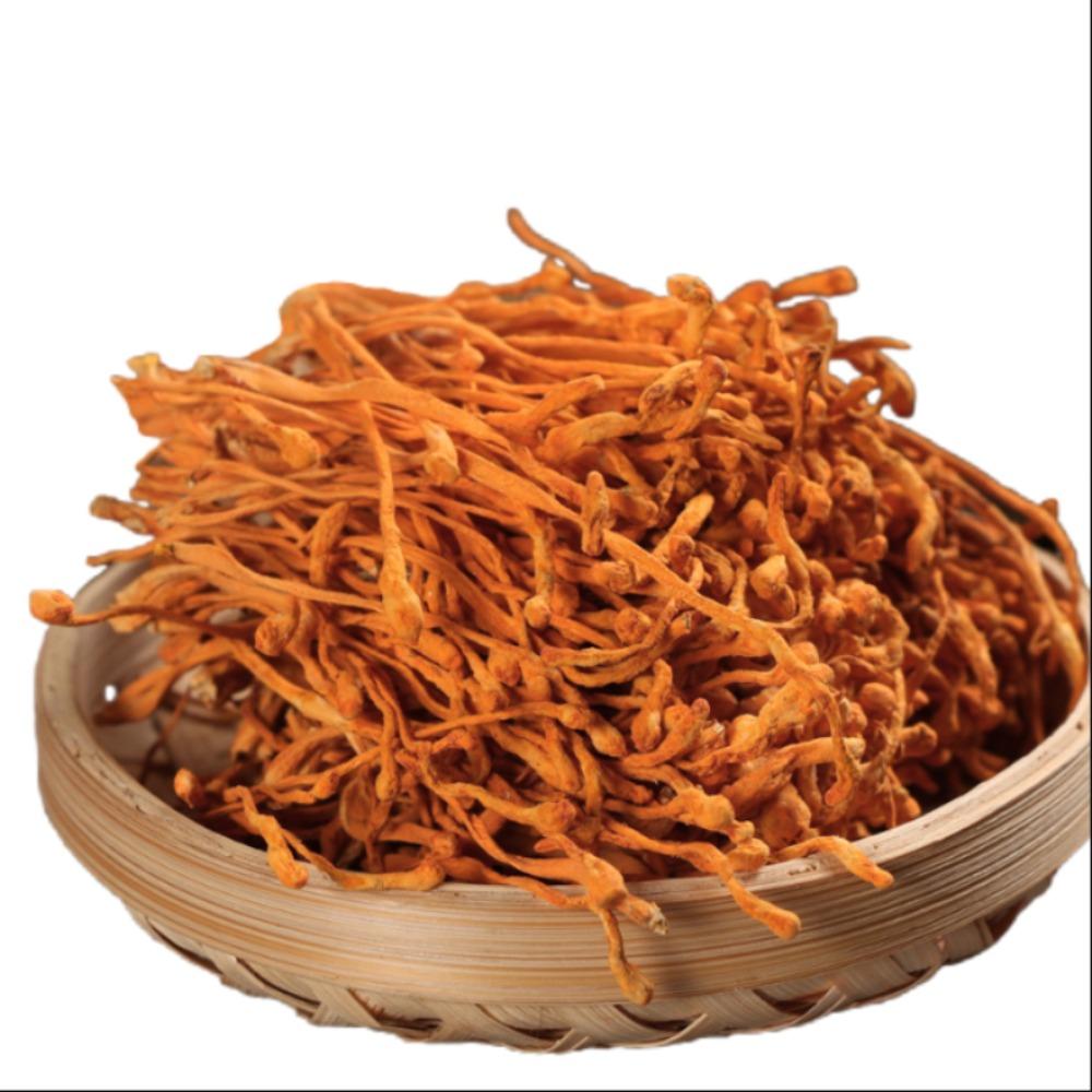

Organic Cordyceps Sinensis Mushroom 80g Natural Energy Herbal Tea 01