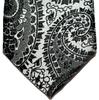 RETREEZ Paisley Art Print Microfiber Woven Necktie - Black & Silver