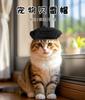 New Cross-border Pet Hat Dress Up Cute Cat Beret Photo Cat Hat Dog Headgear Headdress