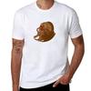 Wise Old Toad Tshirt Long Lasting Casual Tshirt