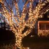 Colorful Waterproof LED Fairy String Lights for Outdoor Decor & Camping
