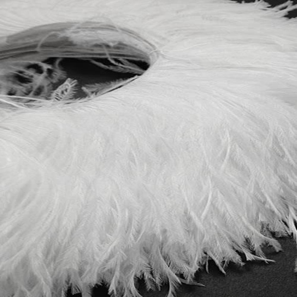 

Super Quality Natural Ostrich feathers Trim Ribbon 8-15cm Width Customized Ostrich Feather Trimming for Party Dress Decorative 1Ply 8-10cm