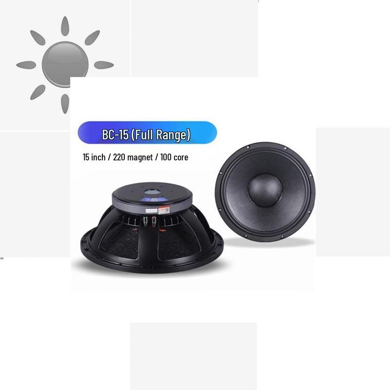 15  High-Power Outdoor Stage Speaker with 220 Magnet & 100 Core, 700W - Ideal for KTV and Weddings