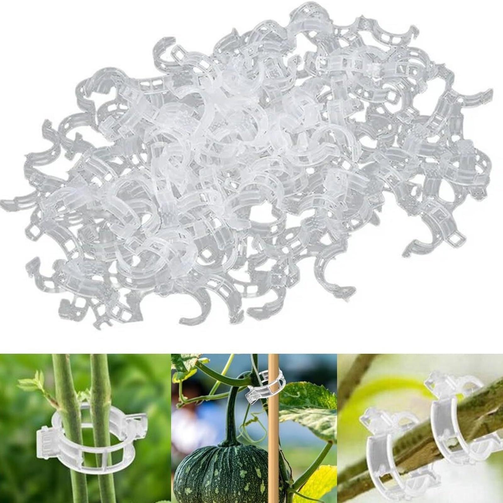 

Secured Plastic Plant Clip, Garden Clips for Climbing Plants, Support Clips Tomato Grape Vine Vegetables Plant Fixing Clips one size белый