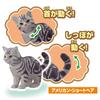 Takara Tomy Ania Dog and Cat Lively Set, Animal and Dinosaur Toy for Ages 3 and Up