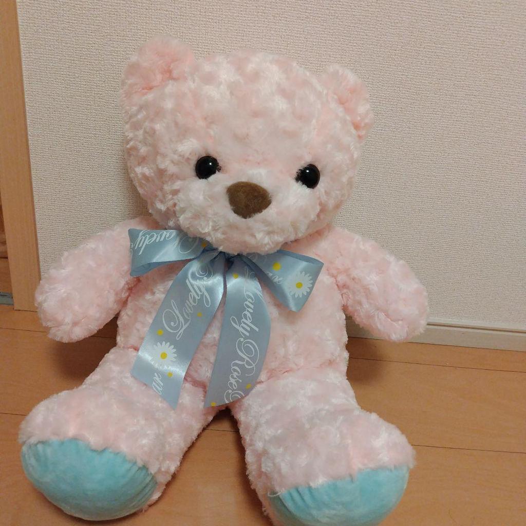 [USED] Teddy Bear
