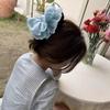 Plastic lace headband Clip Lace Shark Clamp Chic Hair Grasp  Girls