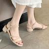 Sandals New Women 'S Summer Fairy Style Thick Heel Net Red One -Word Buckle Roman Shoes In The Heel With Skirt