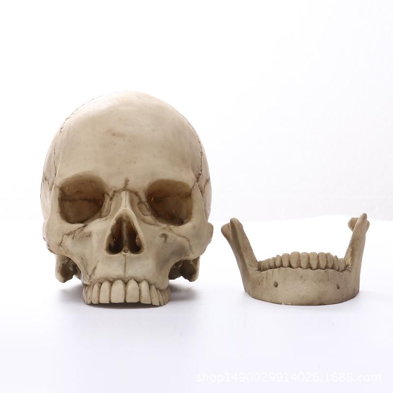 1:1 Human Head Skull Statue for Home Decor Resin Figurines Halloween Decoration Sculpture Medical Teaching Sketch Model Crafts