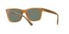 Sunglasses HC8359U CD455 52513H MILKY AMBER 56 [Coach]