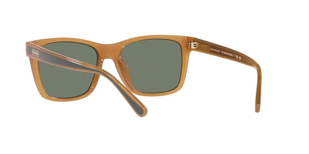 Sunglasses HC8359U CD455 52513H MILKY AMBER 56 [Coach]