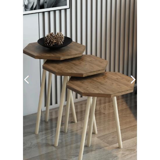 3 Pcs Nesting Table Octagonal Model Nesting Table Hornbeam Leg Octagon Hornbeam Leg Nesting