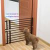 Furnishing Indoor Pet Railing Pet Isolation Door Pet Fence