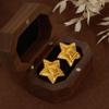 Wind Fashion Versatile Star Texture Earrings Temperament Light Luxury Wind Titanium Steel Plated 18K Gold Non-Fading Stud Earrings Women