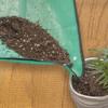 Planting Mat Reusable Potting Pad Prevents Soil Overflow Foldable Waterproof Garden Transplanting