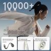 Baseus BF1 Open-Ear Sport Bluetooth Earhook Headphones