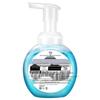 Walch Healthy Protection Foaming Hand Wash