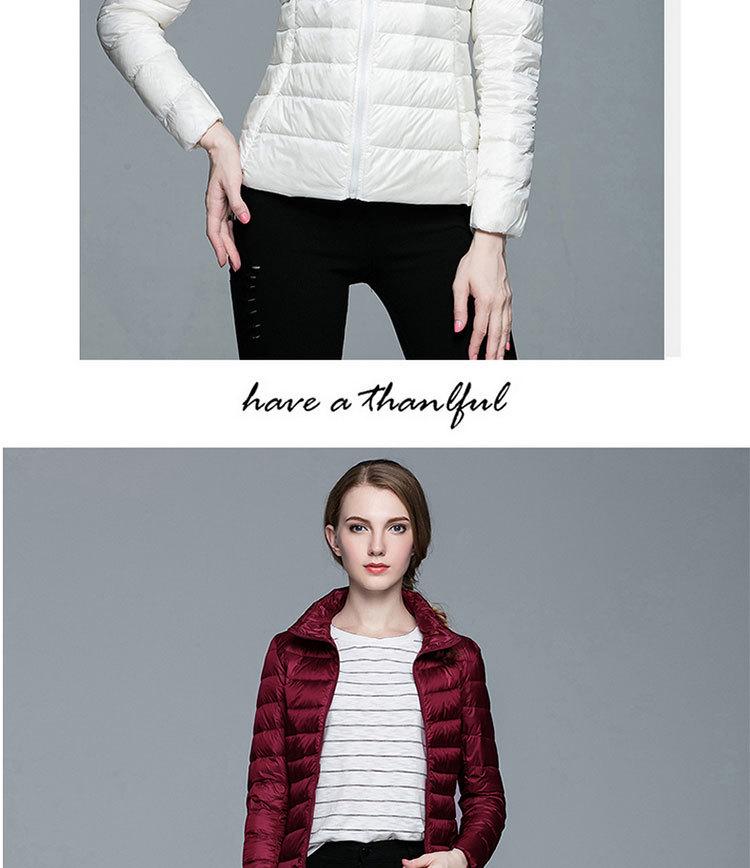 Korean Style Women's Lightweight Slim Fit Down Jacket - Stand Collar, Short, Plus Size, Autumn/Winter