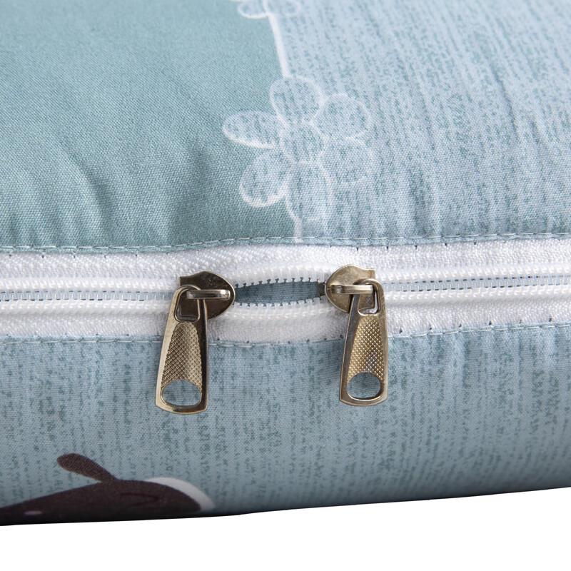 Cat Print 2-in-1 Cushion Blanket