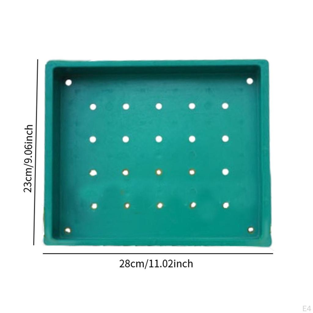 Golf Ball Dispenser Tray Container Equipment with Holes Organizer Holder Dish Storage Box for Home