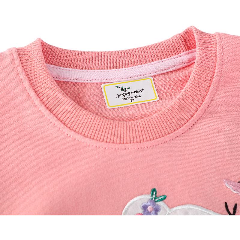 2025 New Style Girls' Spring Sweatshirt - Small & Medium Children's European & American Fashion