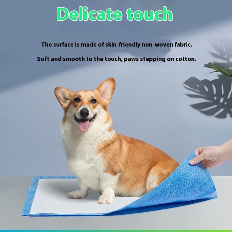 20/40/50/100 Stück Saugfähige Hundewindeln Einweg Welpen Trainings Urinunterlagen Schnelltrocknende Oberfläche Matte Sauber Kissen Zubehör