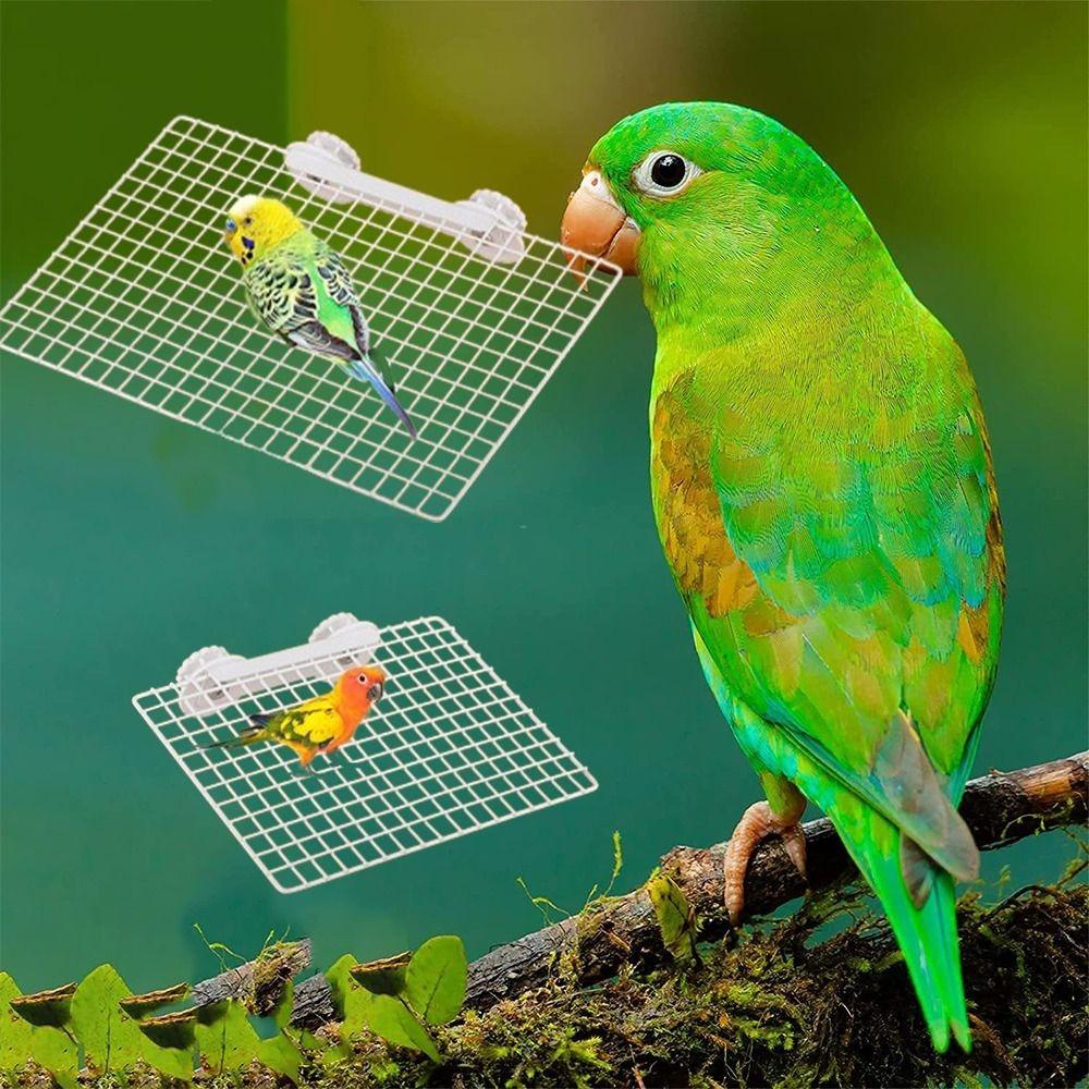 

Wear Resistant Parrot Metal Mesh Platform Bite Resistant Parrot Resting Springboard for Bird Cage S