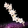 Fashionable Popularity of The Five-pearl Plum Blossom Trendy Brooch Brooch Flower Corsage Female Accessories Long-Lasting Color Exquisite Brooch Gift