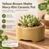 Retro Kiln-Changed Ceramic Mini Flower Pot