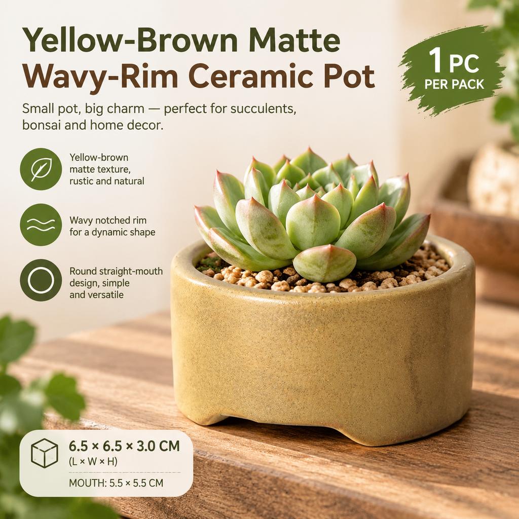 Retro Kiln-Changed Ceramic Mini Flower Pot