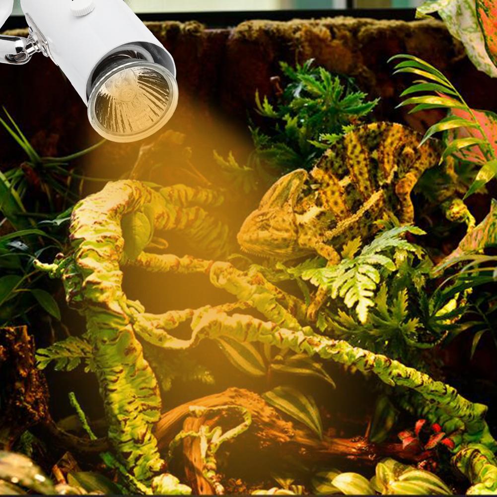 CN Reptile Sun Light UVA UVB Lamp Clip Lights for Turtle Lizard Habitat Tank