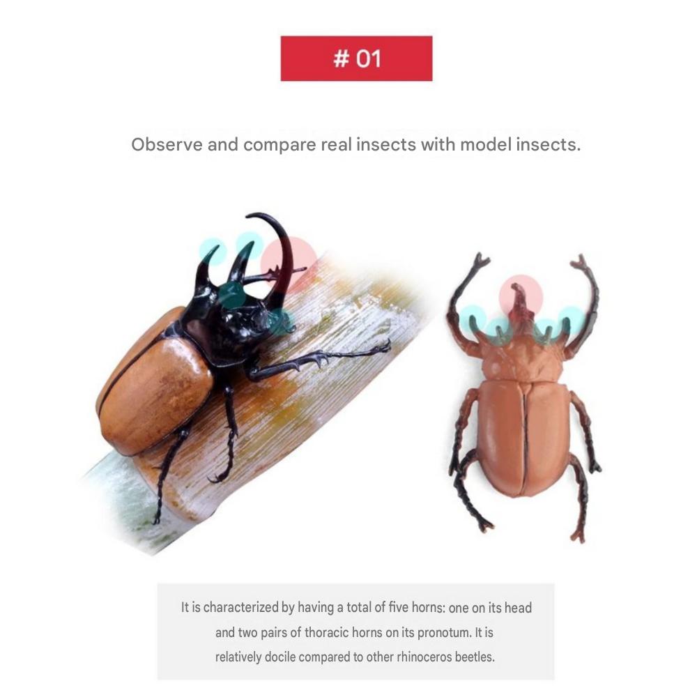 6 Rhinoceros Beetle + 6 Stag Beetle Set Insect Figure Model Toys