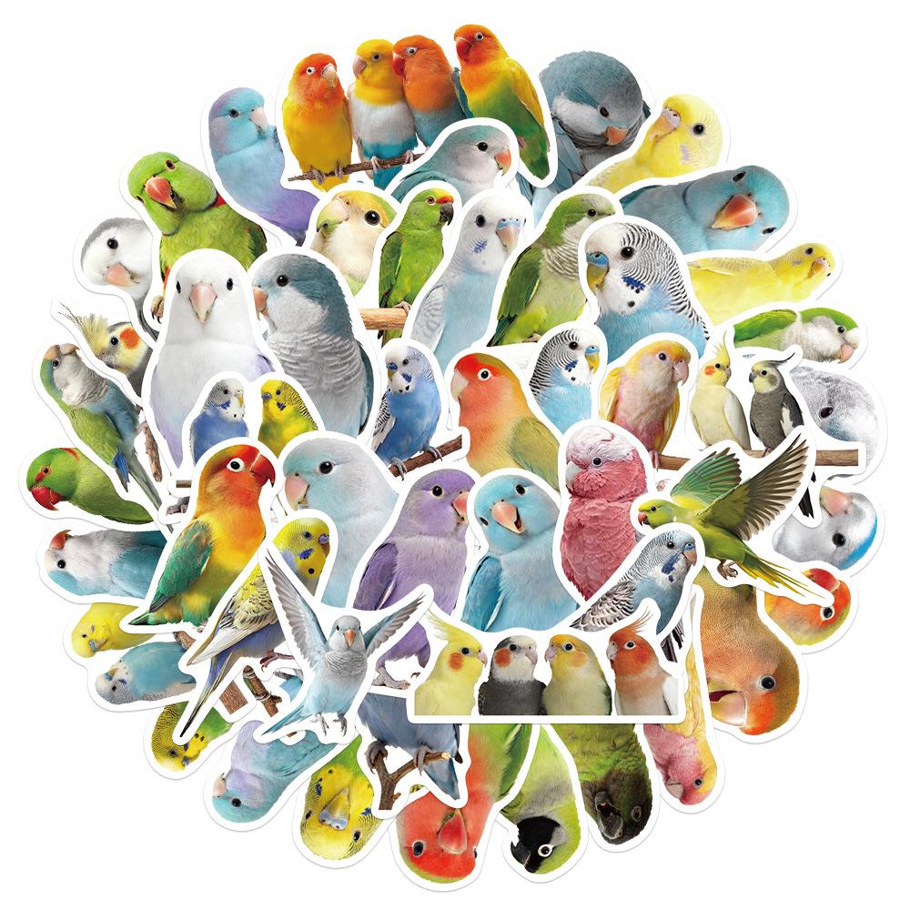 50Pcs/Set Parrot Series 03 Waterproof Stickers DIY Fashion Doodle Decals Stickers