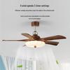 OEING 47-inch 5-Blade Vintage Ceiling Fan with Light