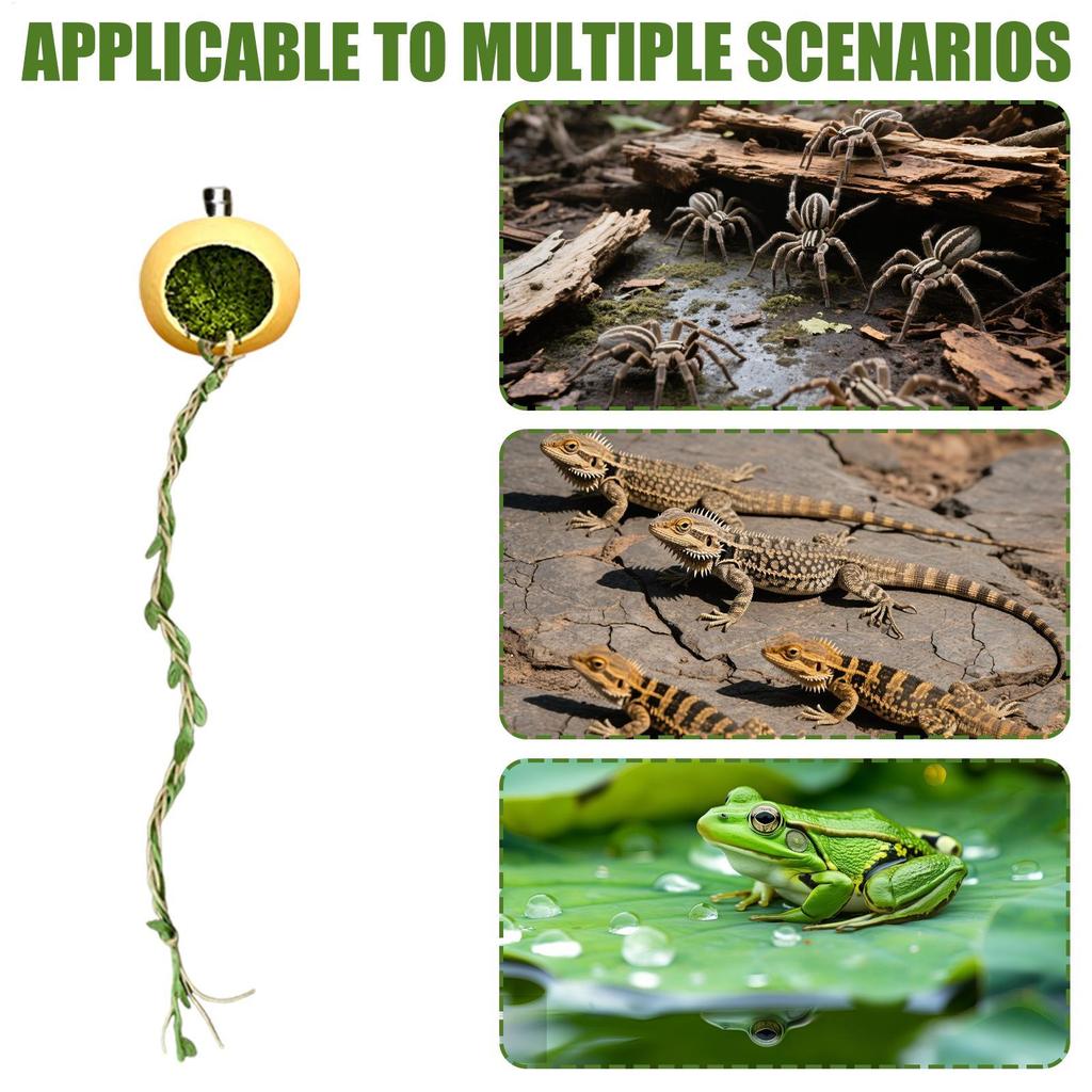 Jumping Spider Hides Magnetic Climbing Rope Spider Enclosure Accessories Hideaway House Accessories For Arthropods Centipedes