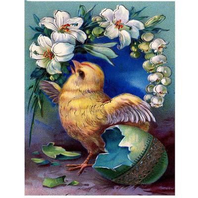 Pittura Diamante 5D Fai da Te Trapano Tondo Completo Uccello con fiore Ricamo Diamante Punto Croce