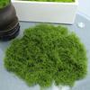 30/100G Artificial Green Moss DIY Crafts Indoor Plants Fairy Gardens Table Centerpieces Fish Tanks Microlandscape Decorative Fake Moss