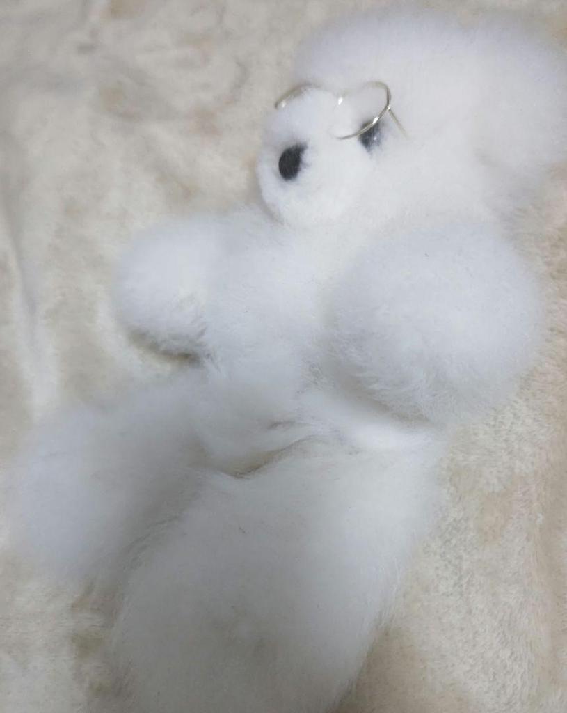 [USED] Fluffy Baby Alpaca Fur Teddy Bear. Anonymous Shipping.