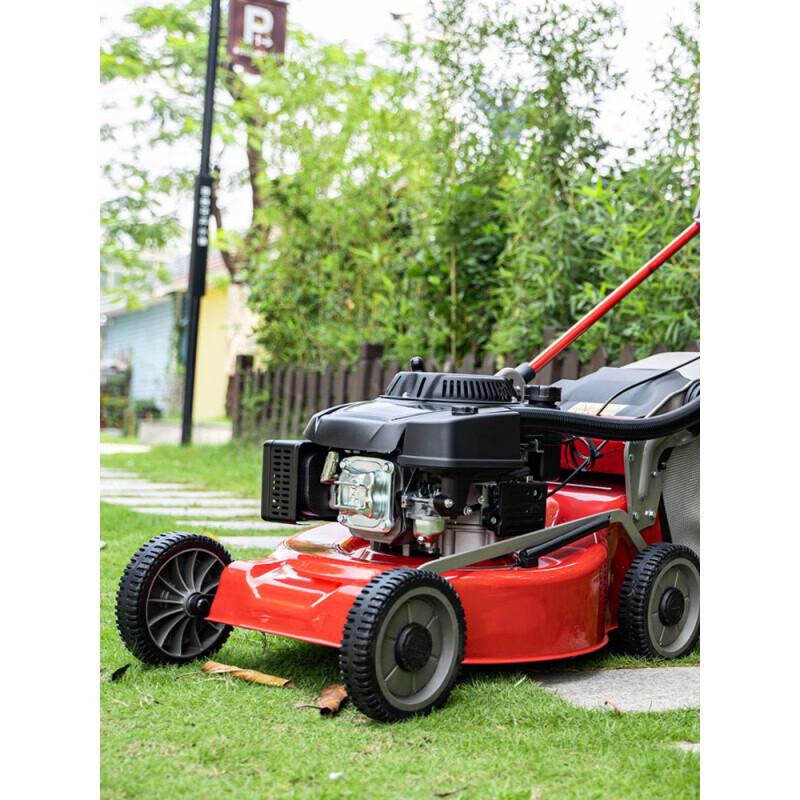 Wuyan 21-inch Self-Propelled Lawn Mower