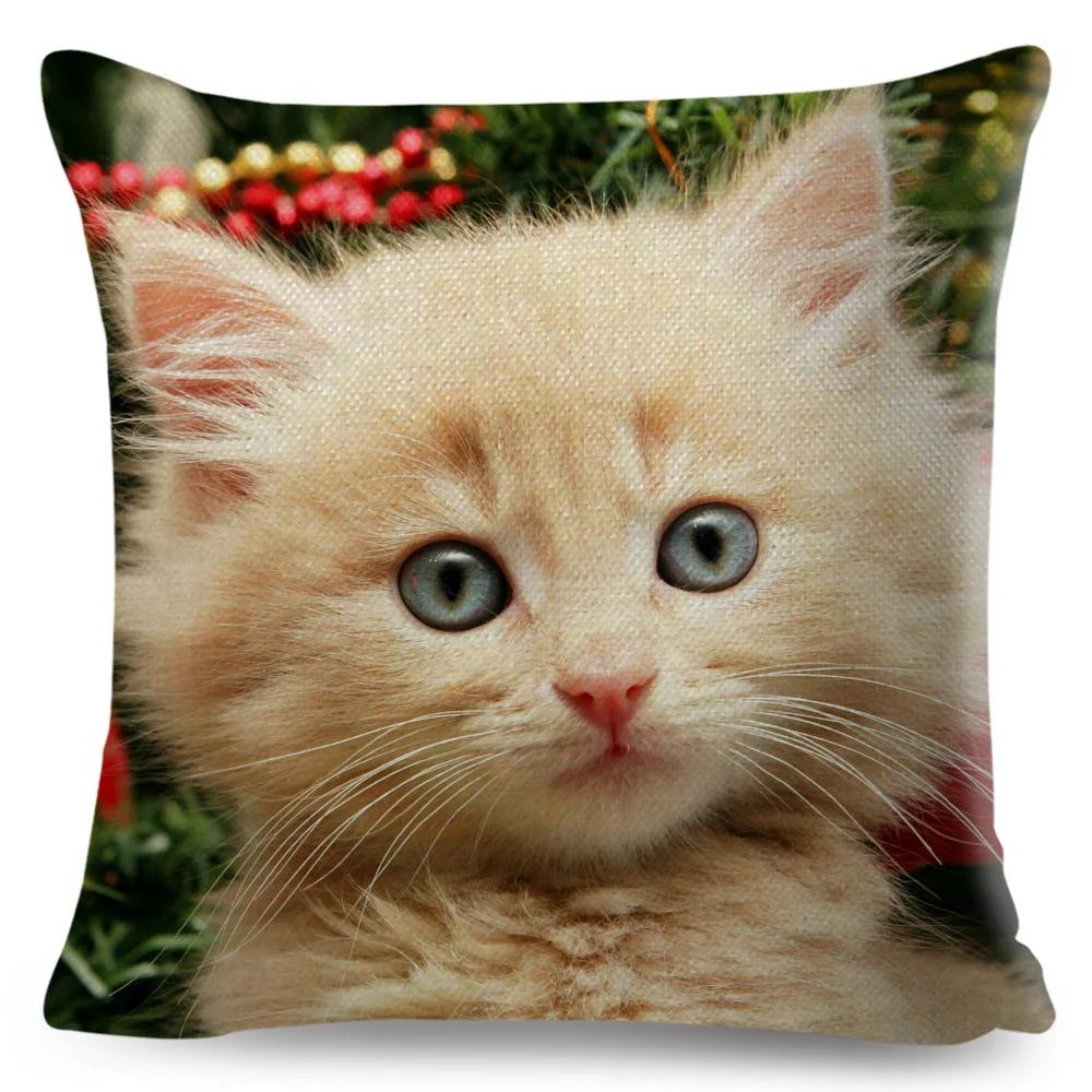 Funny Cute Cat Cushion Cover Decor Lovely Pet Animal Print Pillowcase Polyester Throw Pillow Case for Sofa Home Car 45x45cm
