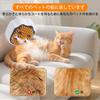 Cat Steam Cat Dog Pet Cat Hair for Long and Dogs and Water LED Blue Hair Removal White 4-in-1 Multi-Function Brush, Brush, Brush, Brush, Brushing,