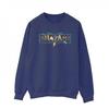 DC Comics Mens Shazam Fury Of The Gods Golden Logo Sweatshirt