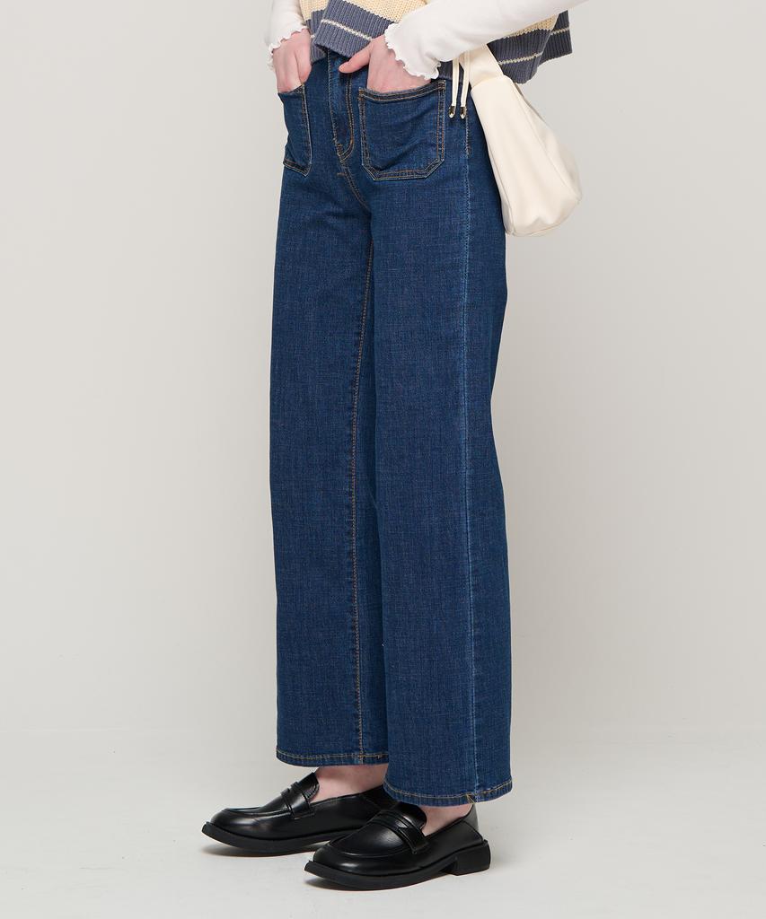 ROIDESROIS Brushed One-Pleat Wide Denim Pants (Dark Blue)
