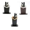 Eyeglasses Display Holder Case - Unique  Fur Lining, Sunglasses Showcase Box