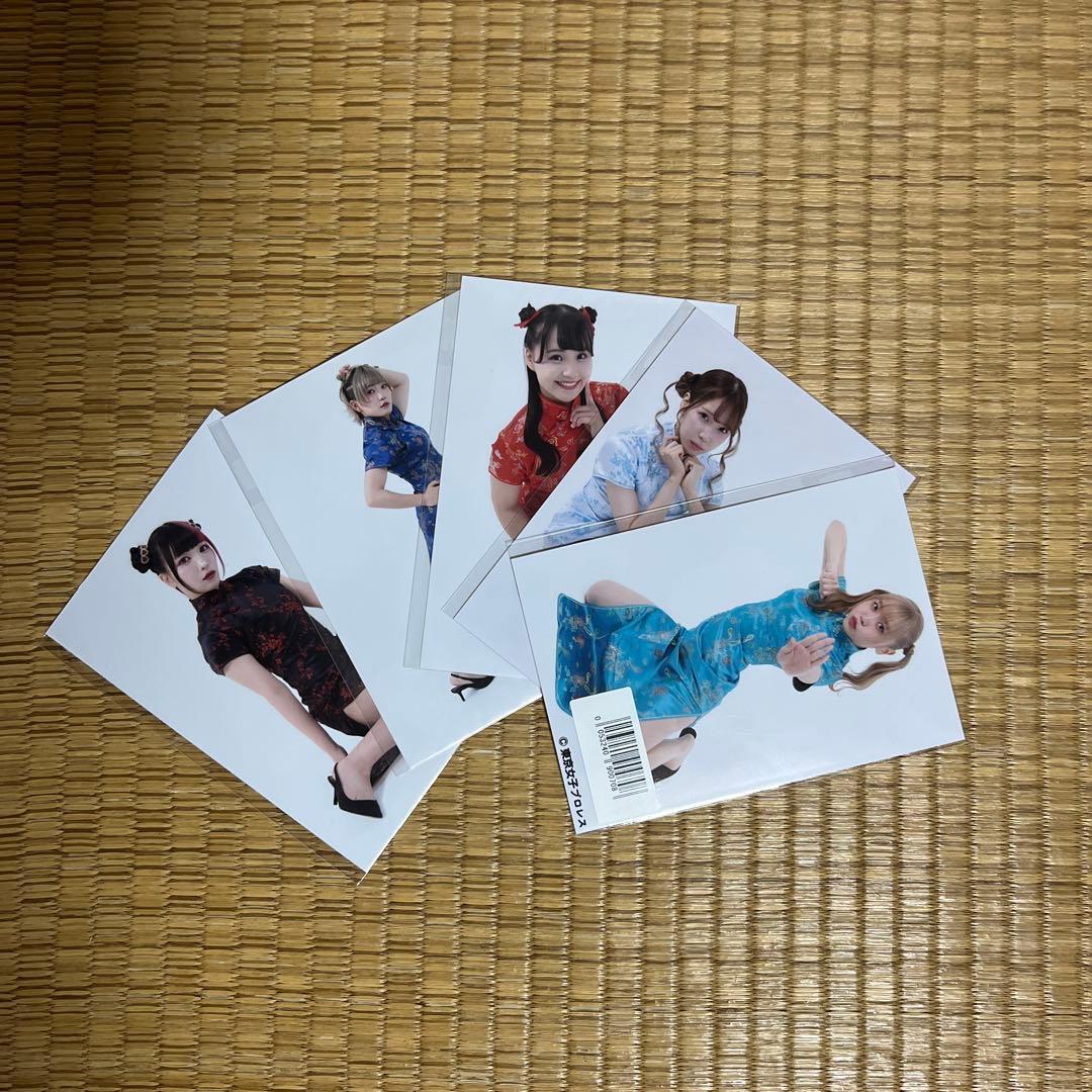 

DMM Limited Tokyo Women s Pro Wrestling Bromide Set of 5